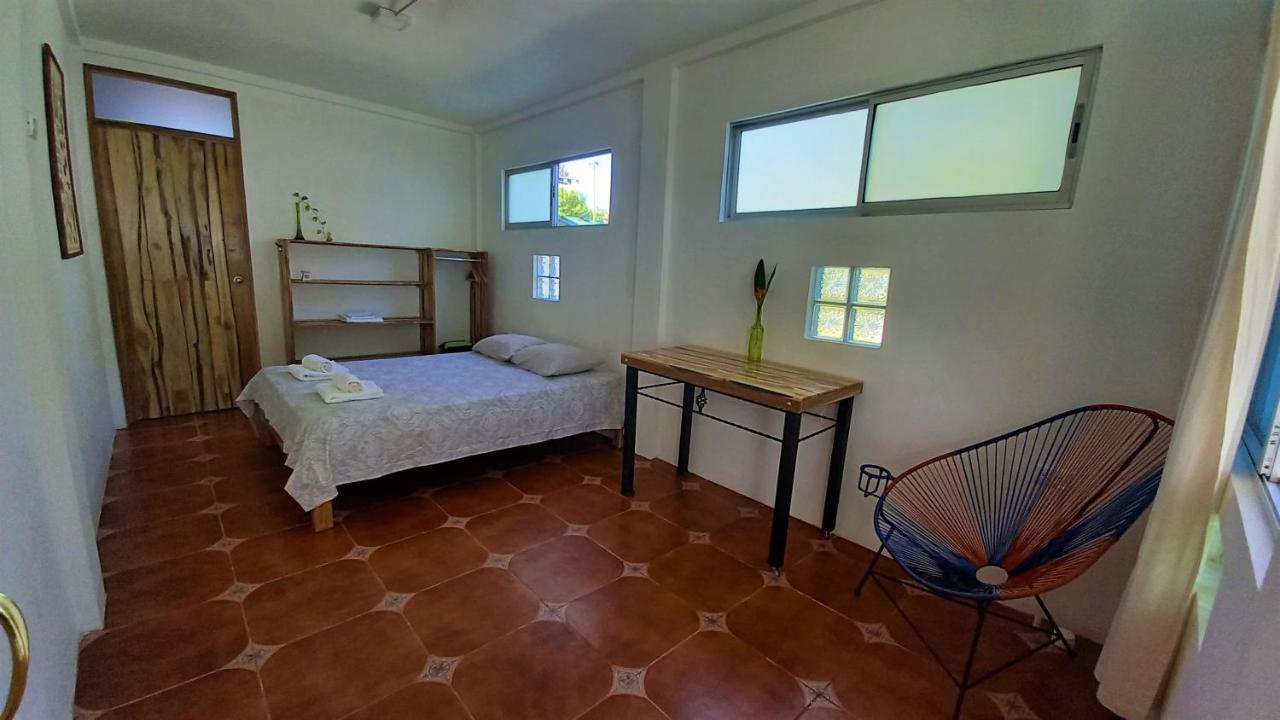 Pura Natura Beachfront Guest house Tortuguero