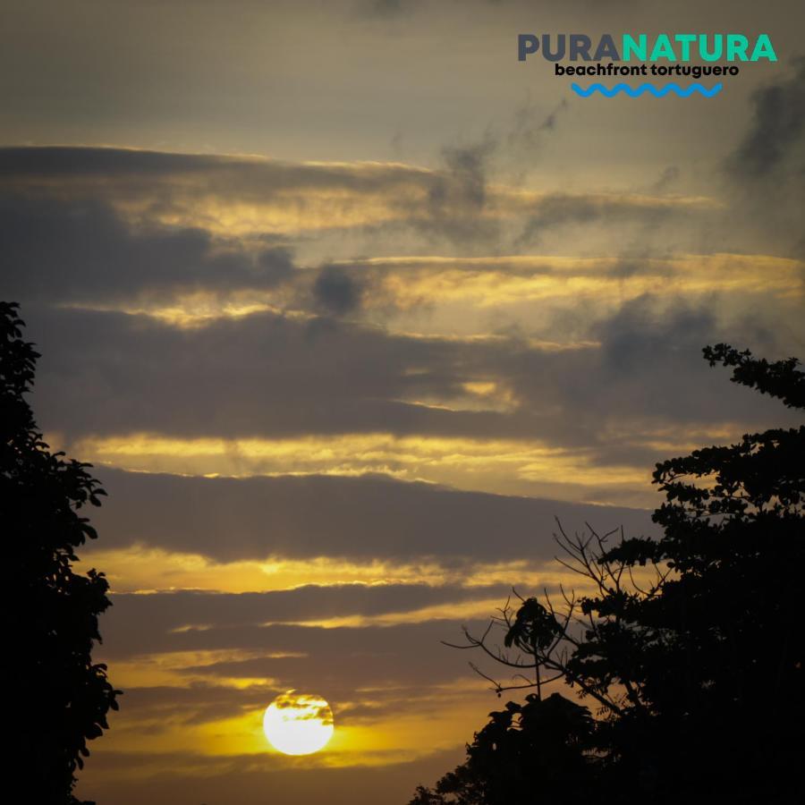 Guest house Pura Natura Beachfront *