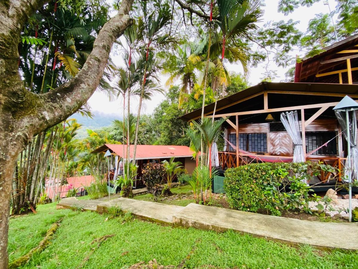 Pacific Edge Eco Bed & Breakfast Dominical