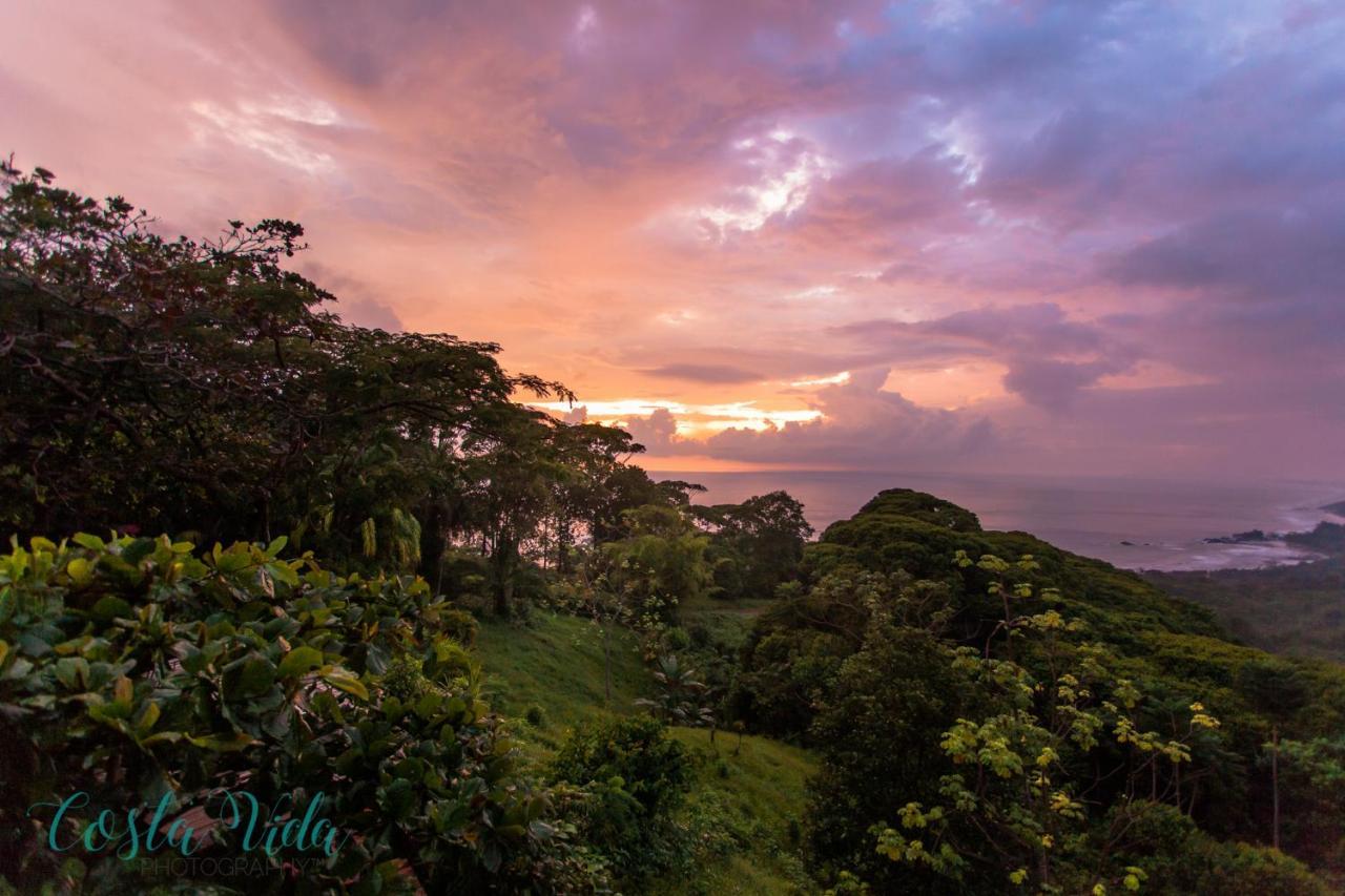 Pacific Edge Eco Bed & Breakfast *