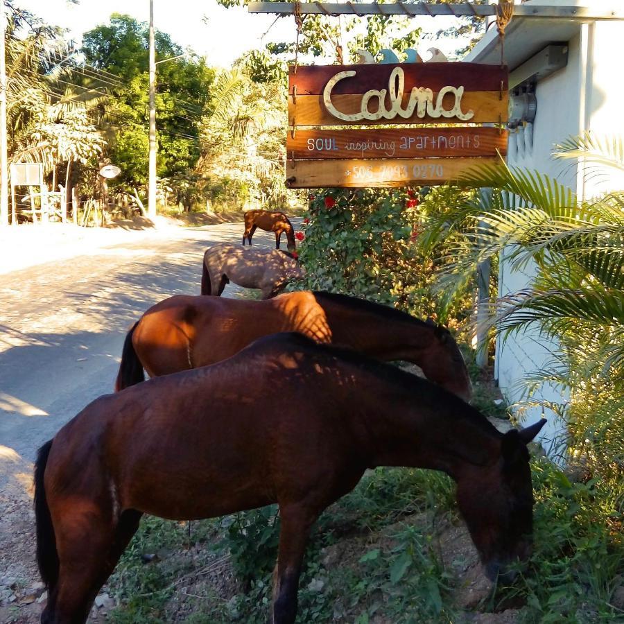 Calma Costa Rica *