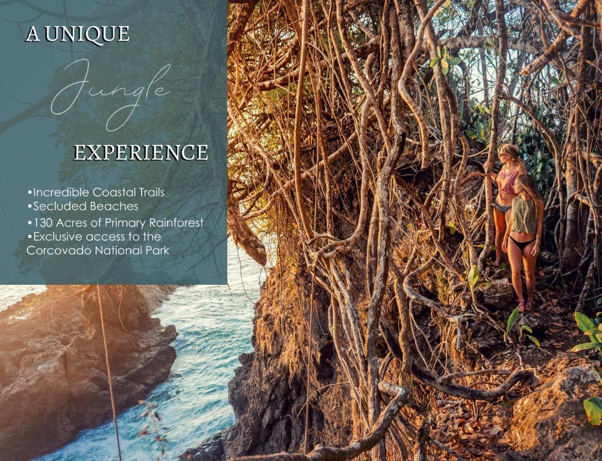The Jaguars Jungle Rainforest - Meals Included (adults Only) * San Pedrillo