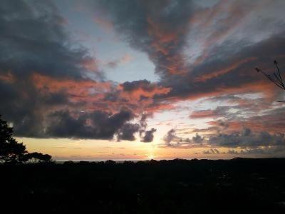 Lodge Forest Uvita