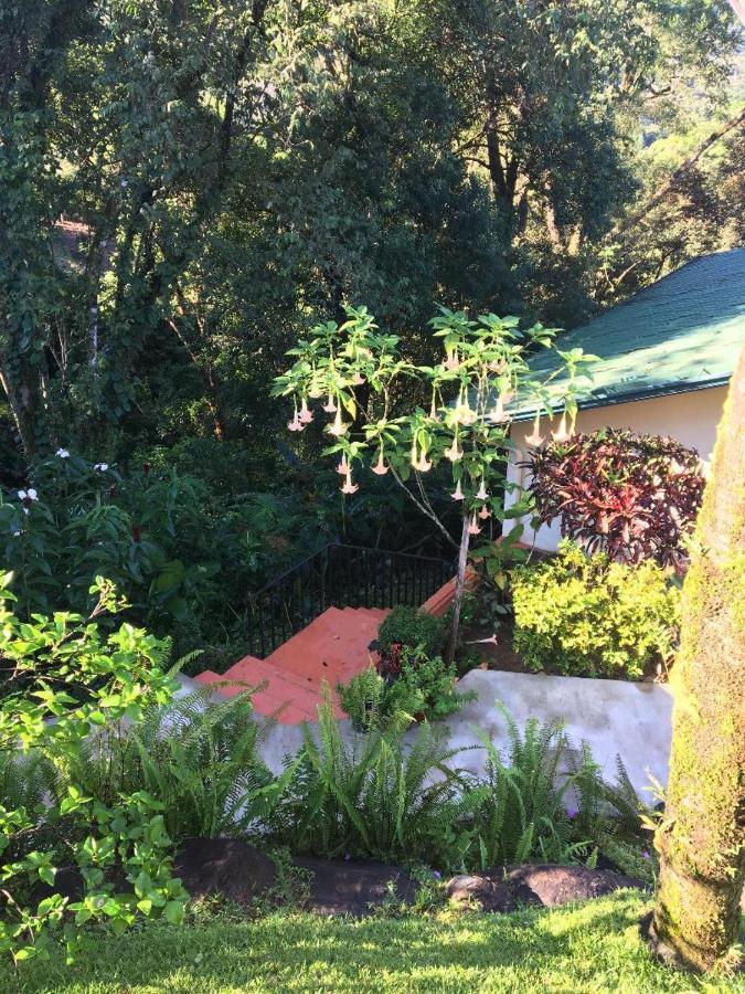 Mango Tree Lodge *