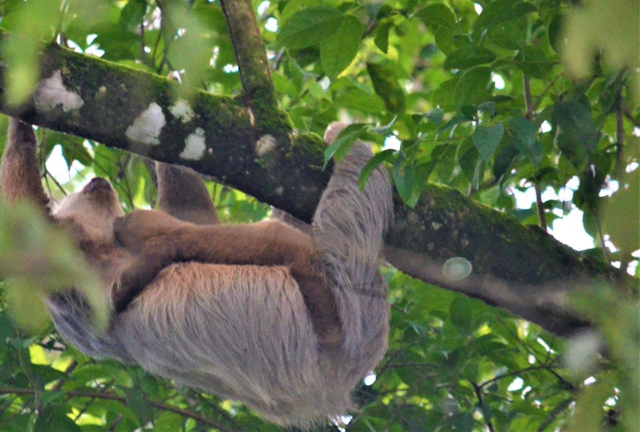 Mango Tree Lodge