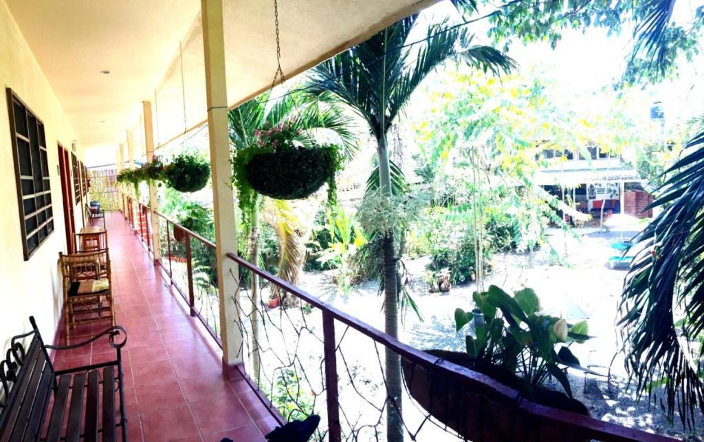 Tropical Sands