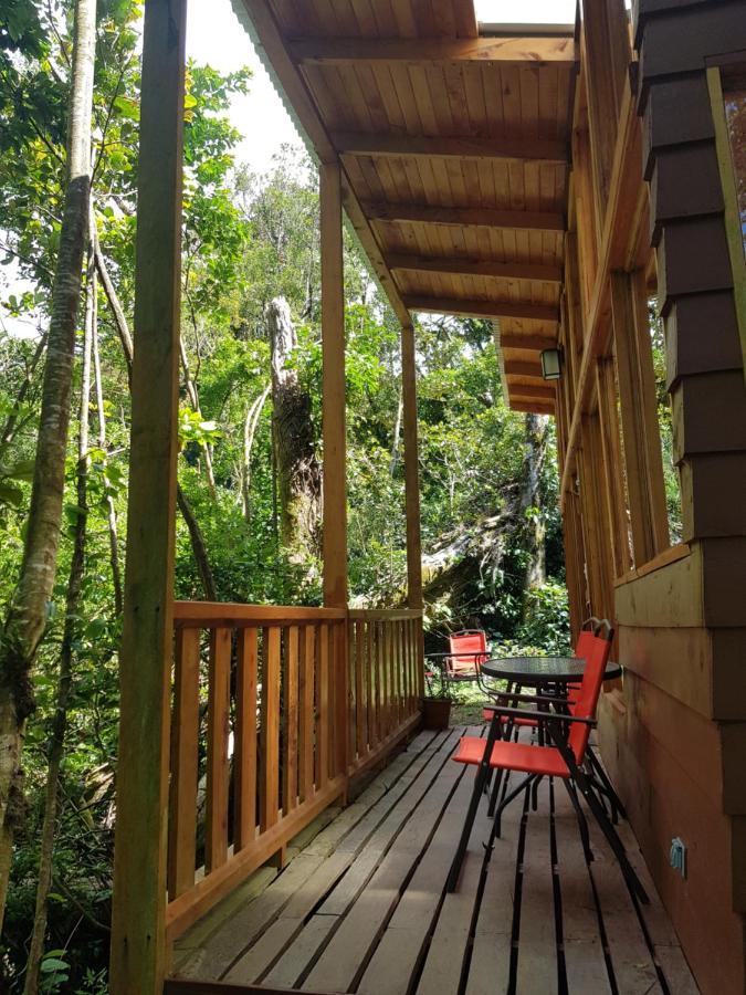 Terra Viva * Monteverde