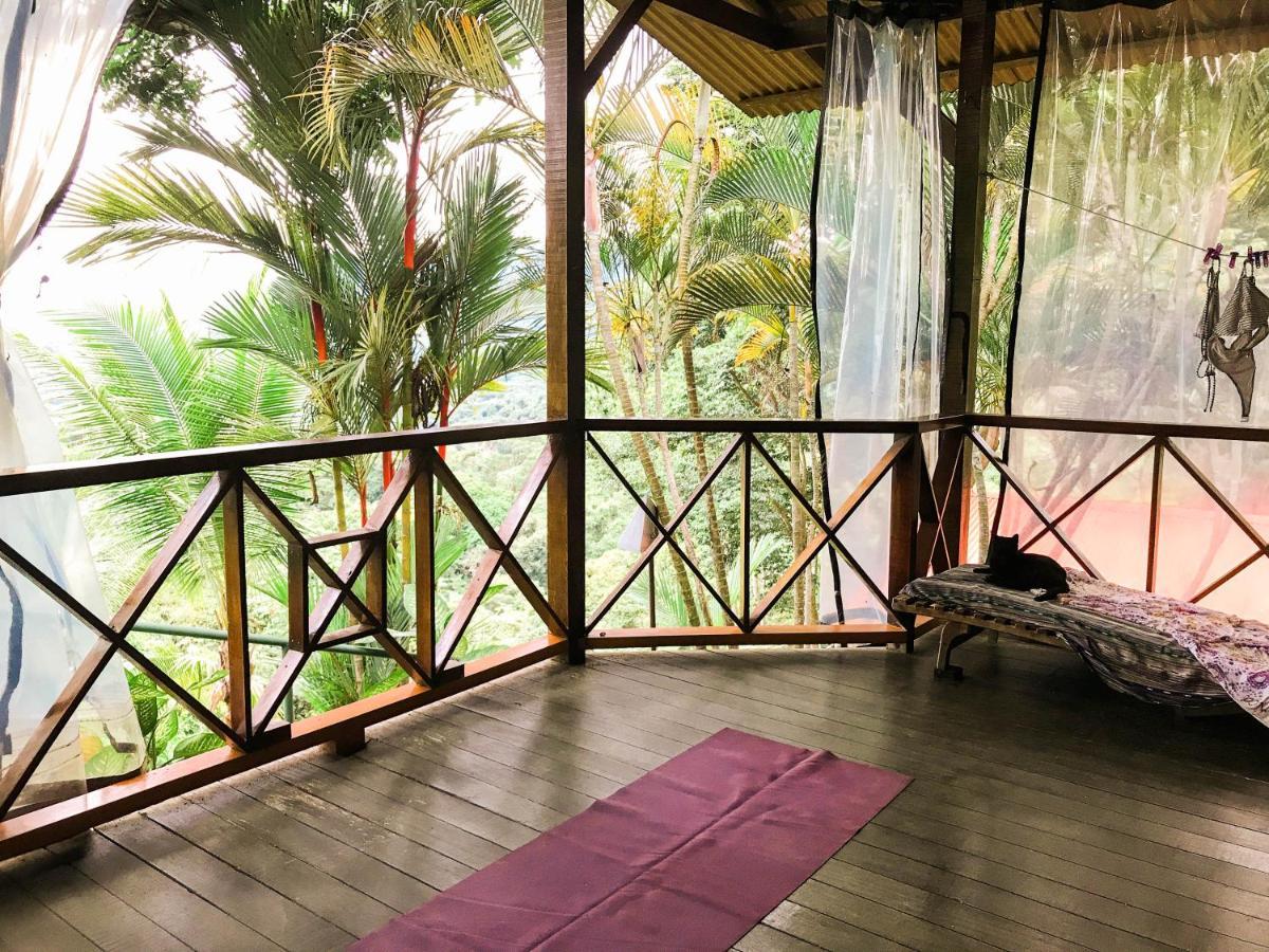 Pacific Edge Eco Dominical