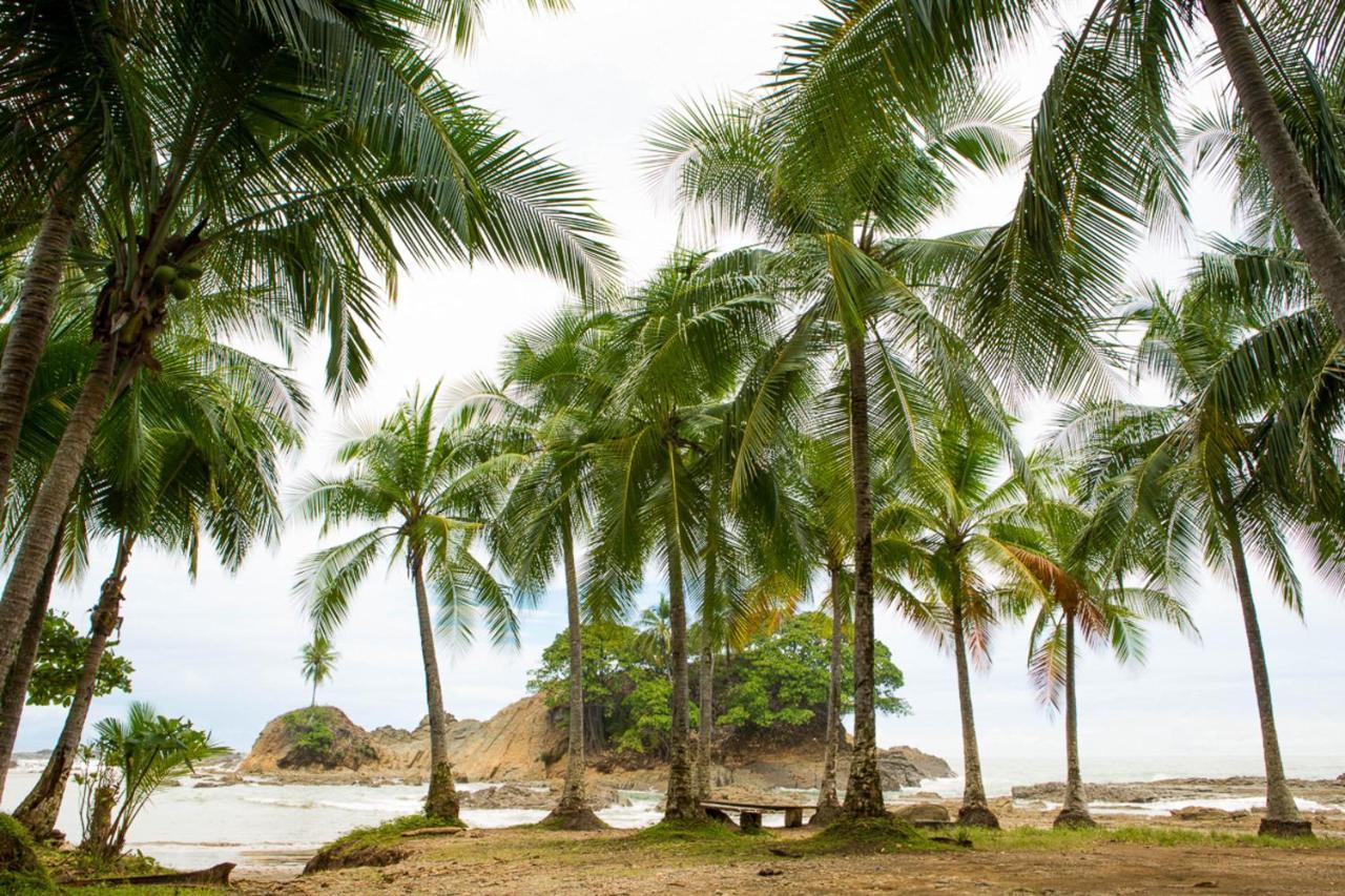 Pacific Edge Eco *
