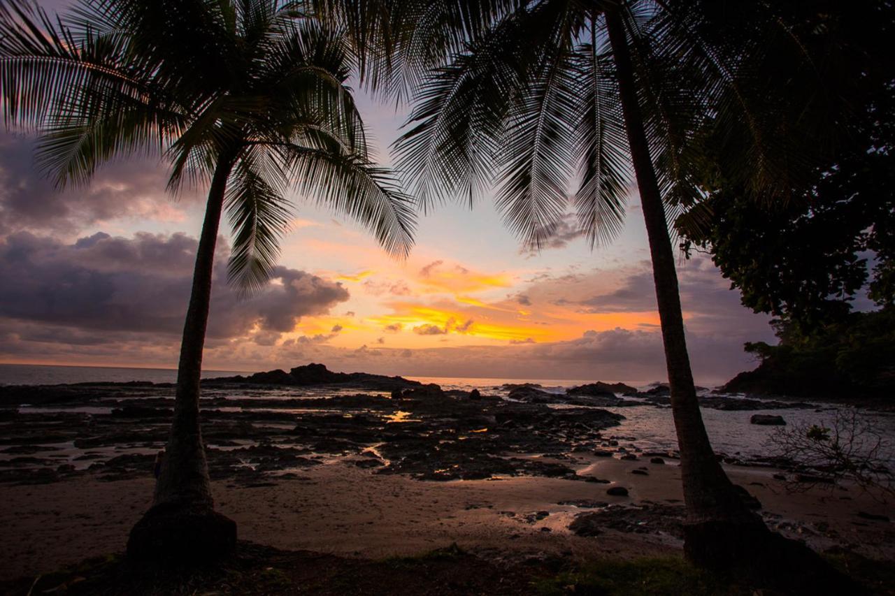 Pacific Edge Eco *