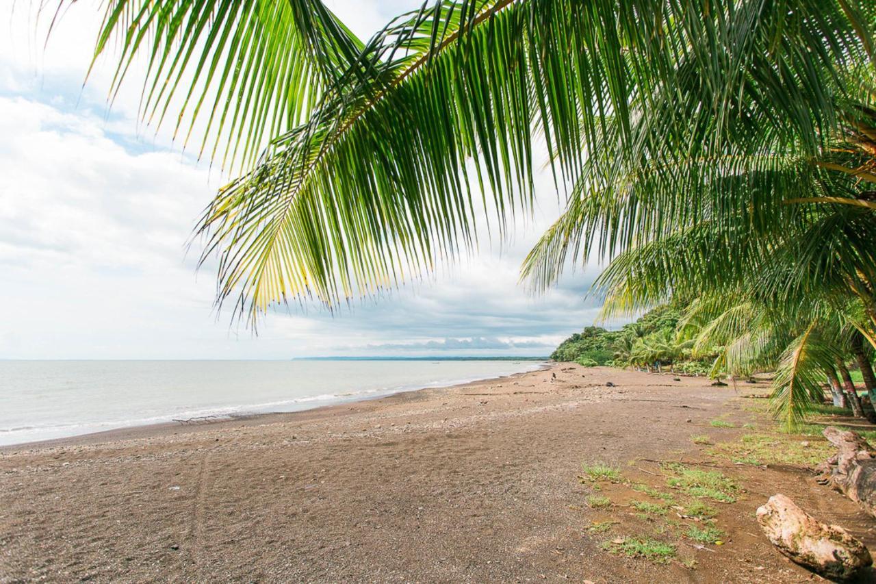 Bed & Breakfast Pacific Edge Eco Dominical