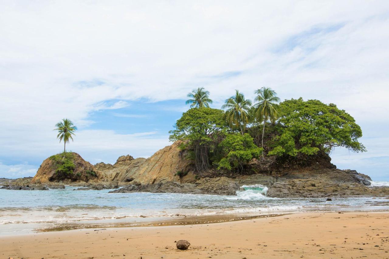 Pacific Edge Eco Bed & Breakfast *
