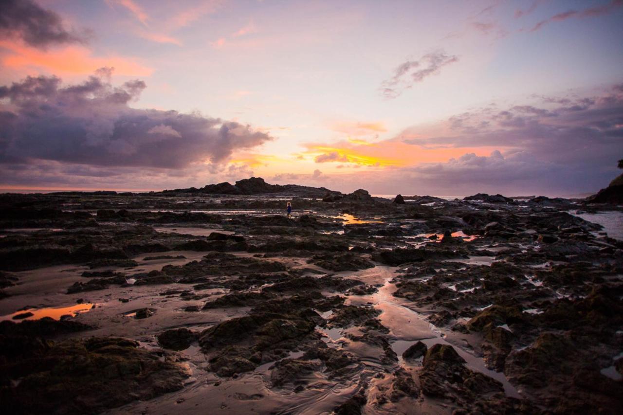 Pacific Edge Eco *