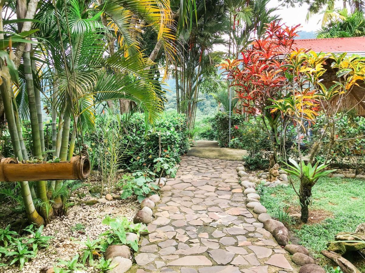 Bed & Breakfast Pacific Edge Eco *