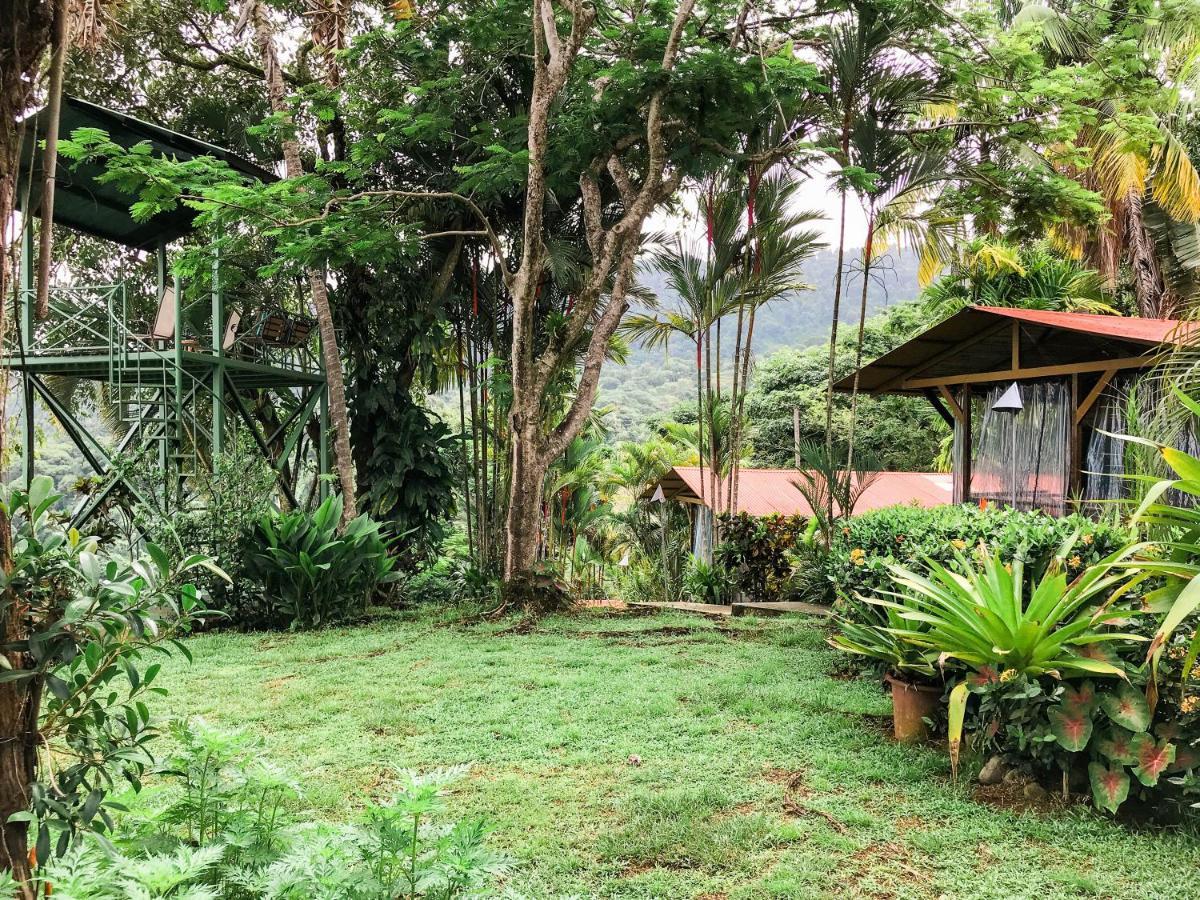 Pacific Edge Eco Bed & Breakfast