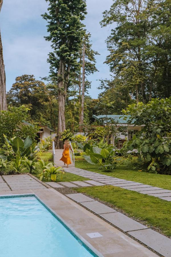 Sonora Jungle & Yoga Retreat Lodge