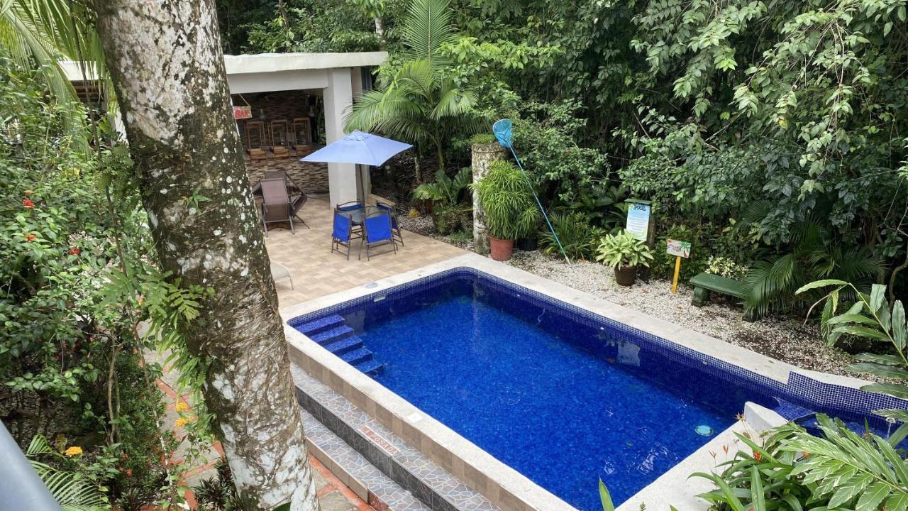 La Jungle Hotel 2*