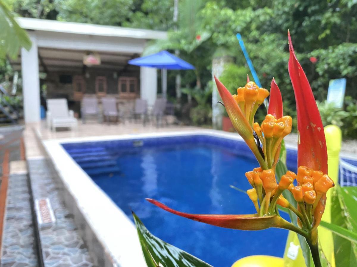 Hotel La Jungle