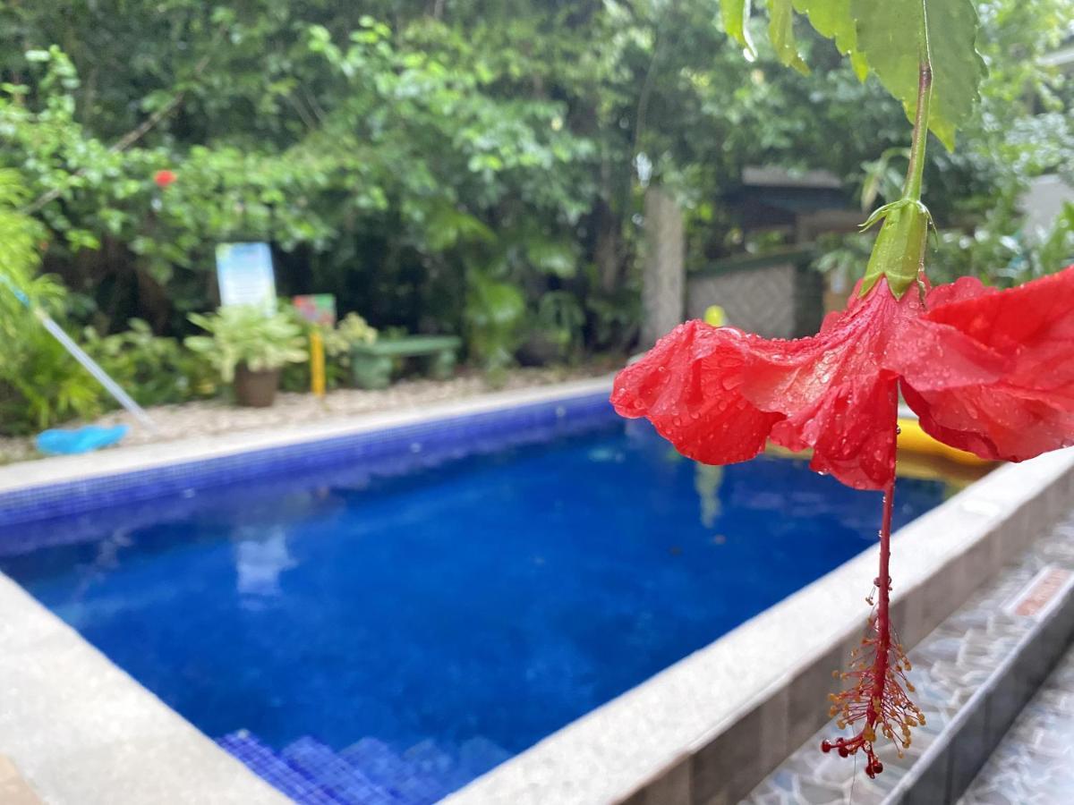 Hotel La Jungle Manuel Antonio