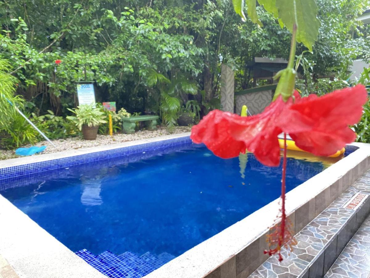 La Jungle 2* Manuel Antonio