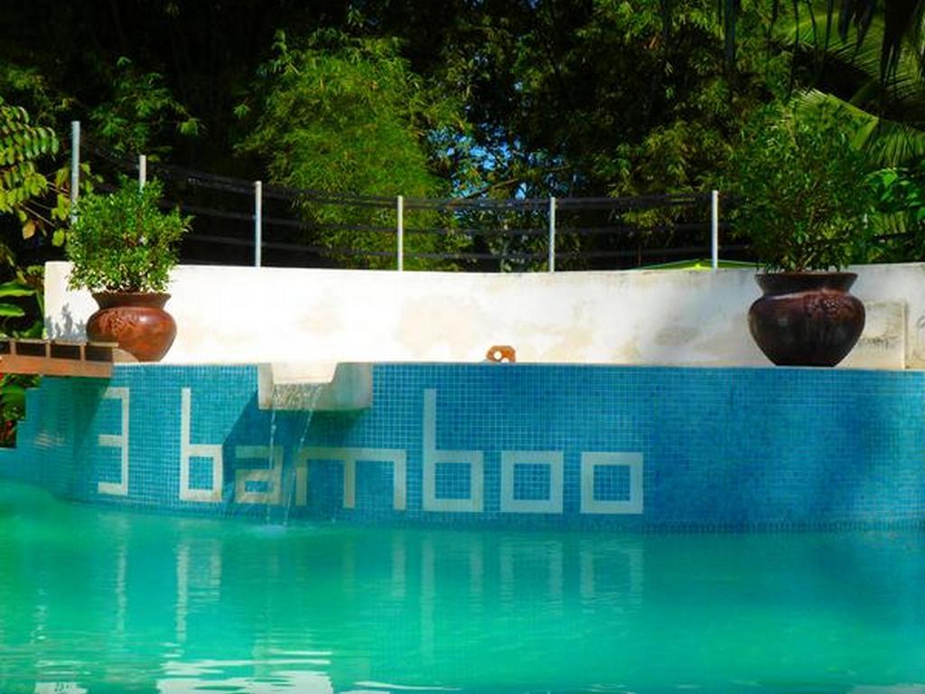 3 Bamboo Eco