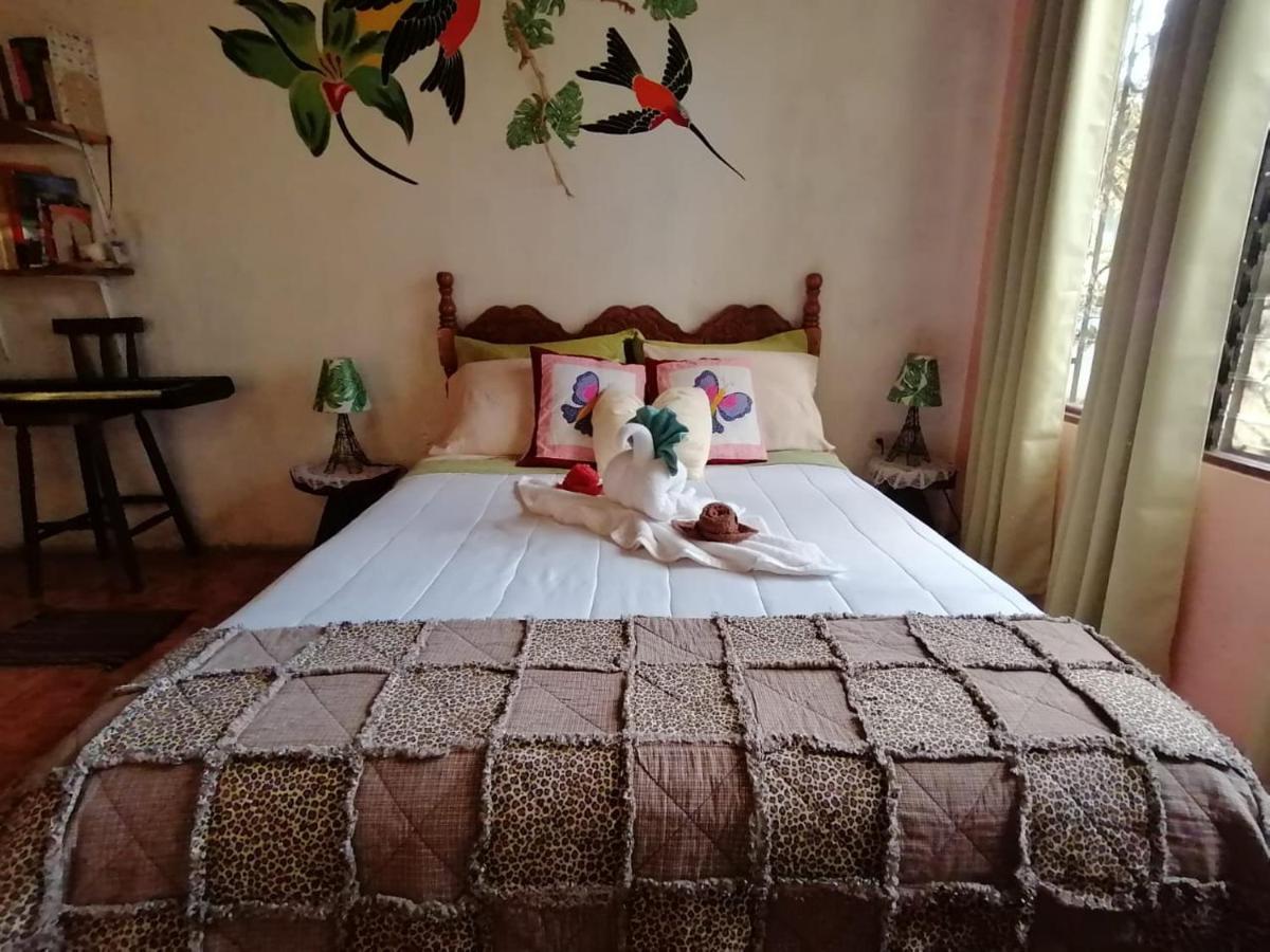Casa Copalchi