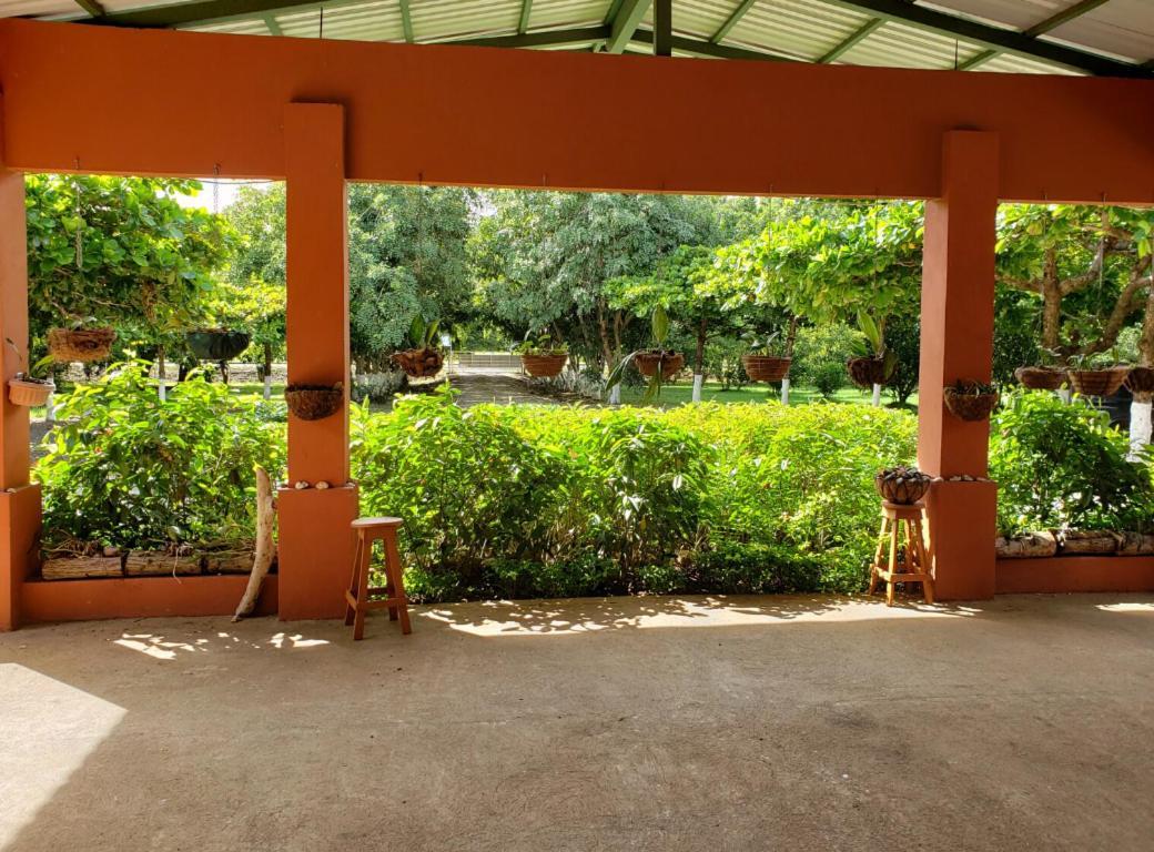 Hacienda Del Sol Hotel