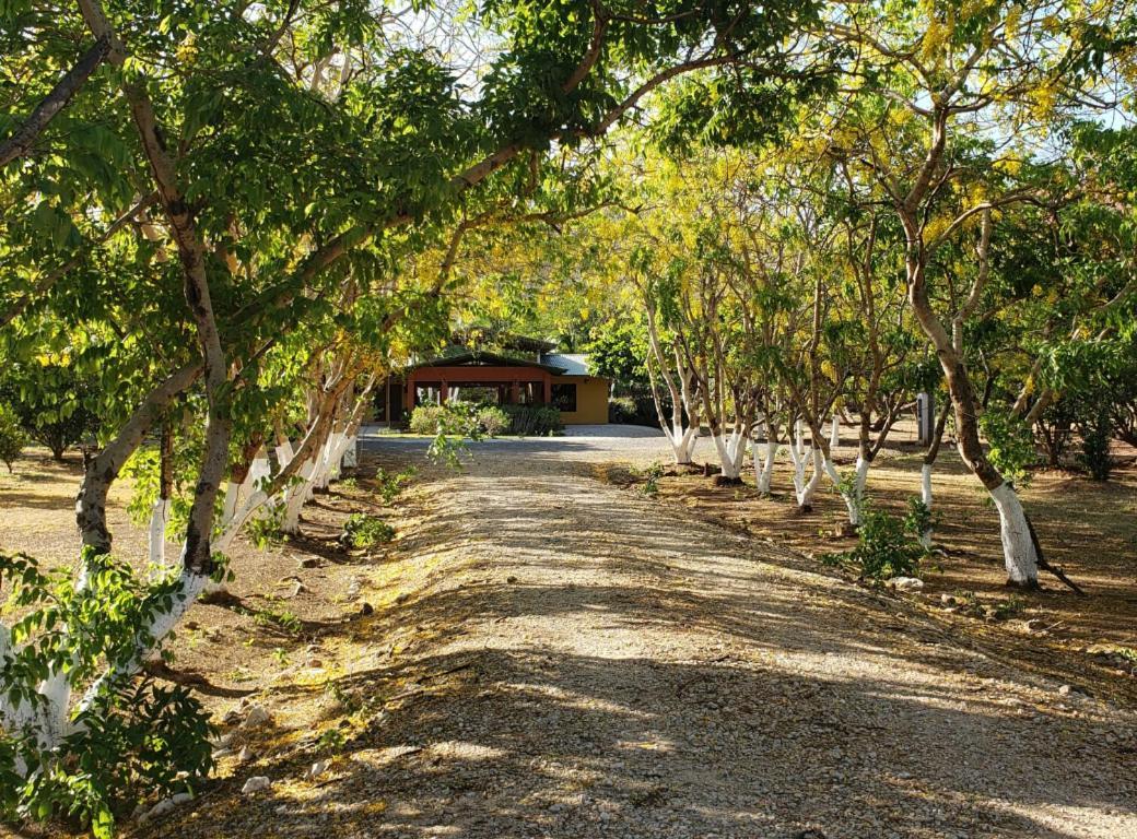 Hacienda Del Sol *