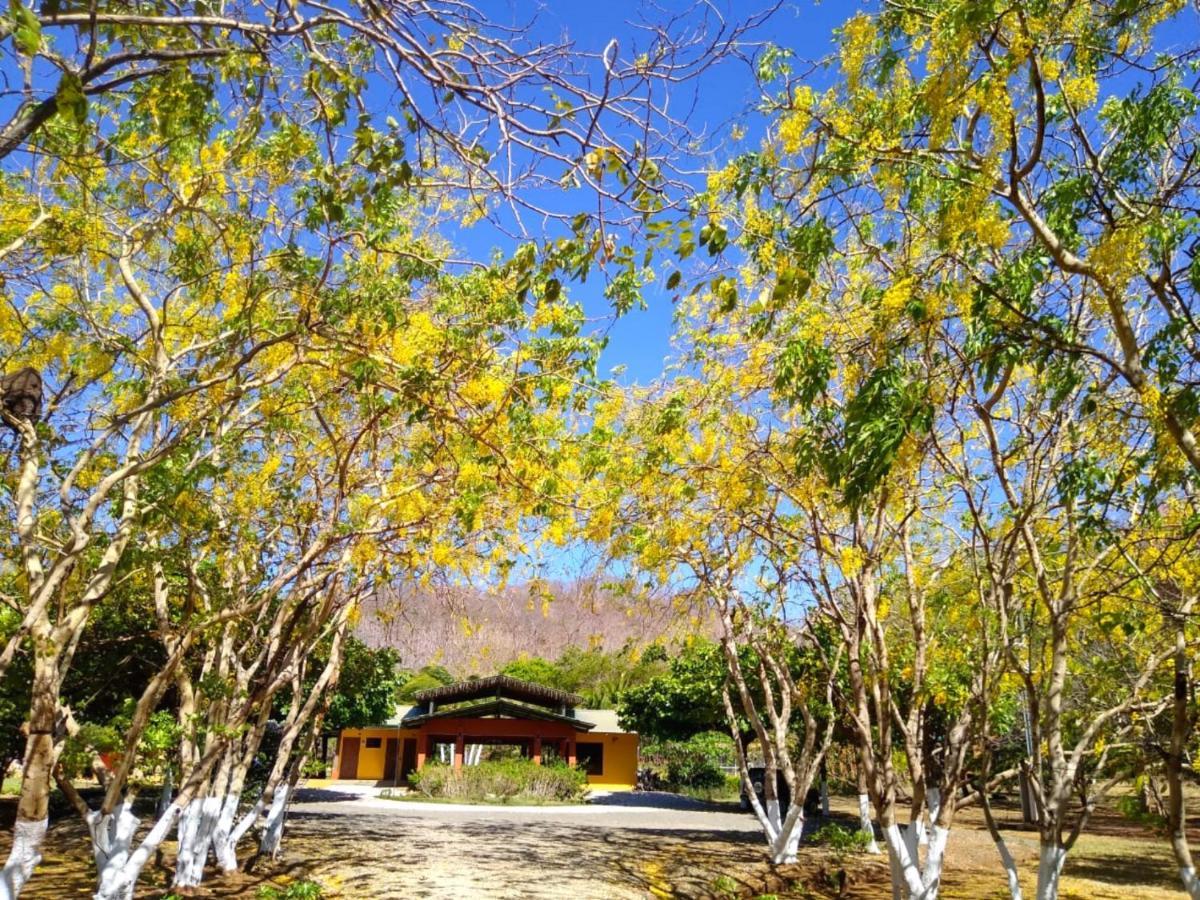 Hacienda Del Sol Paraiso (Guanacaste)