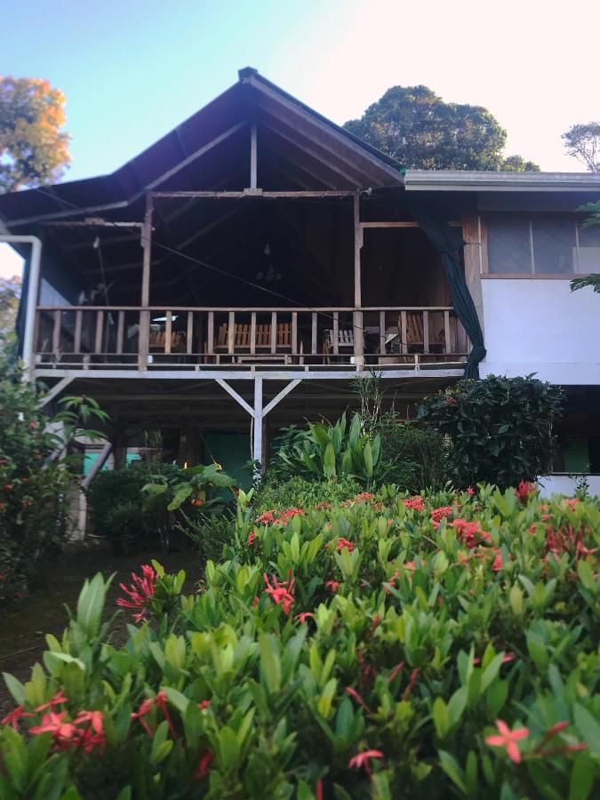 Bed & Breakfast Casa Horizontes Corcovado 2*