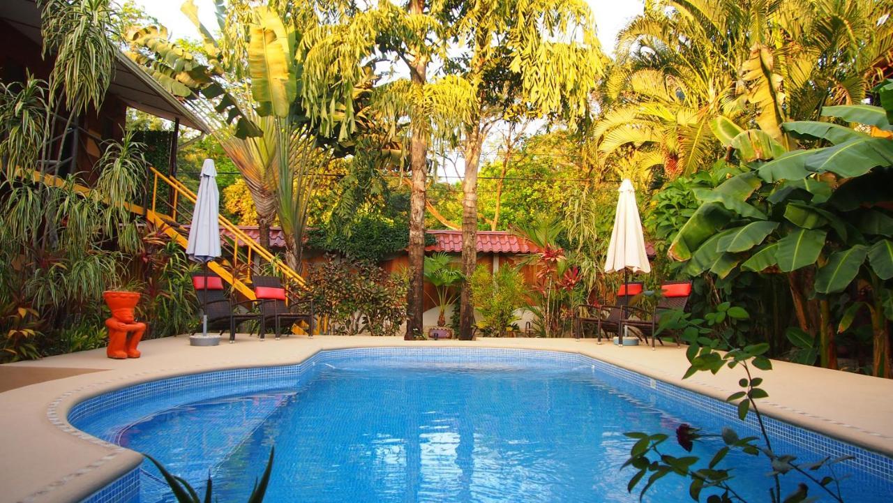 Palm Samara