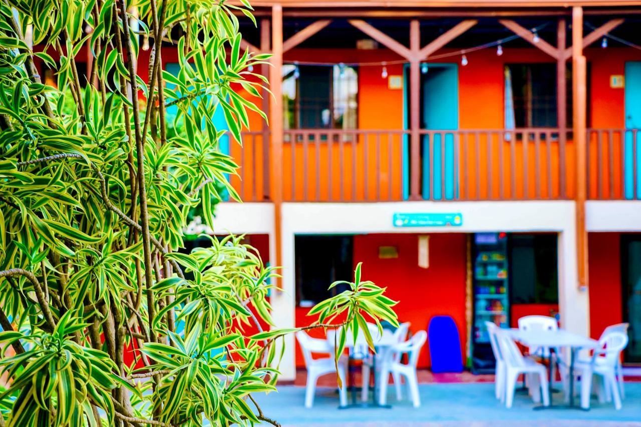 Blue Iguana 3*