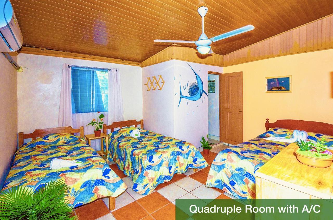 Blue Iguana 3* Samara