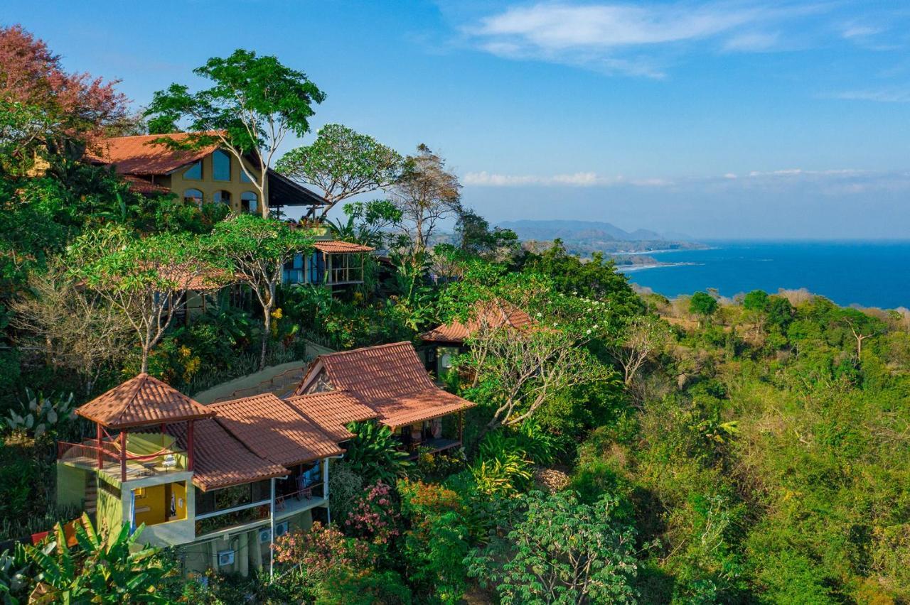 Anamaya Montezuma