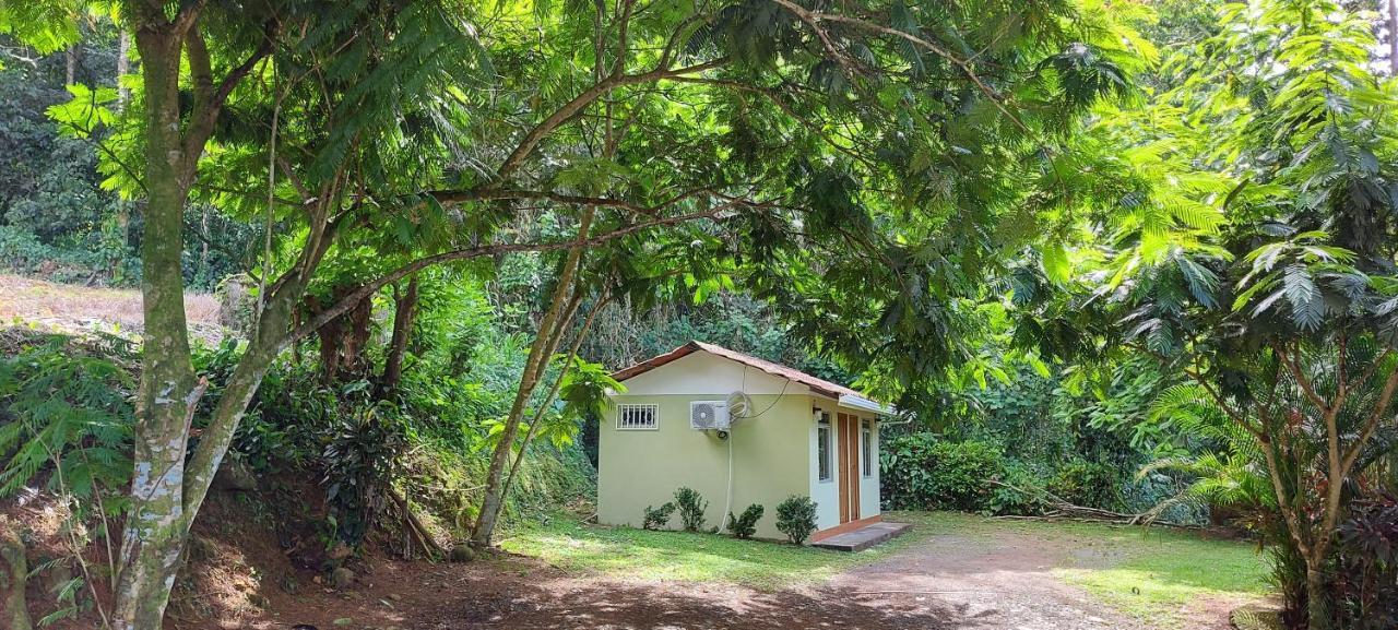 Y Cabinas Anita-and Rafting Tour! Guest house *