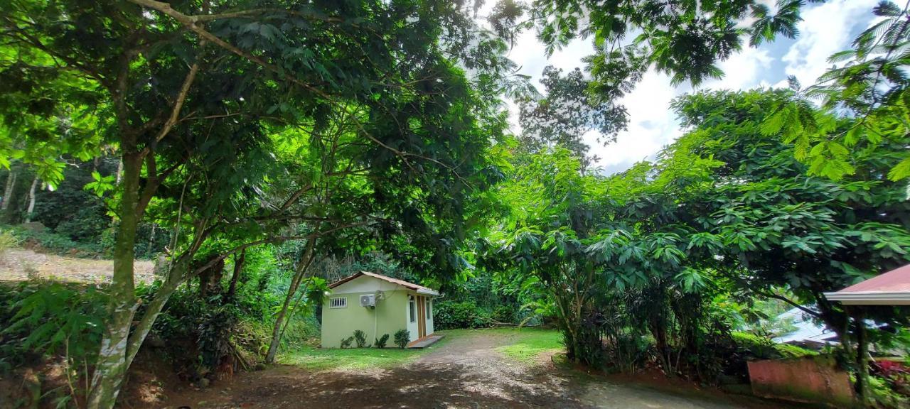 Guest house Y Cabinas Anita-and Rafting Tour! Siqurres Da Alegria