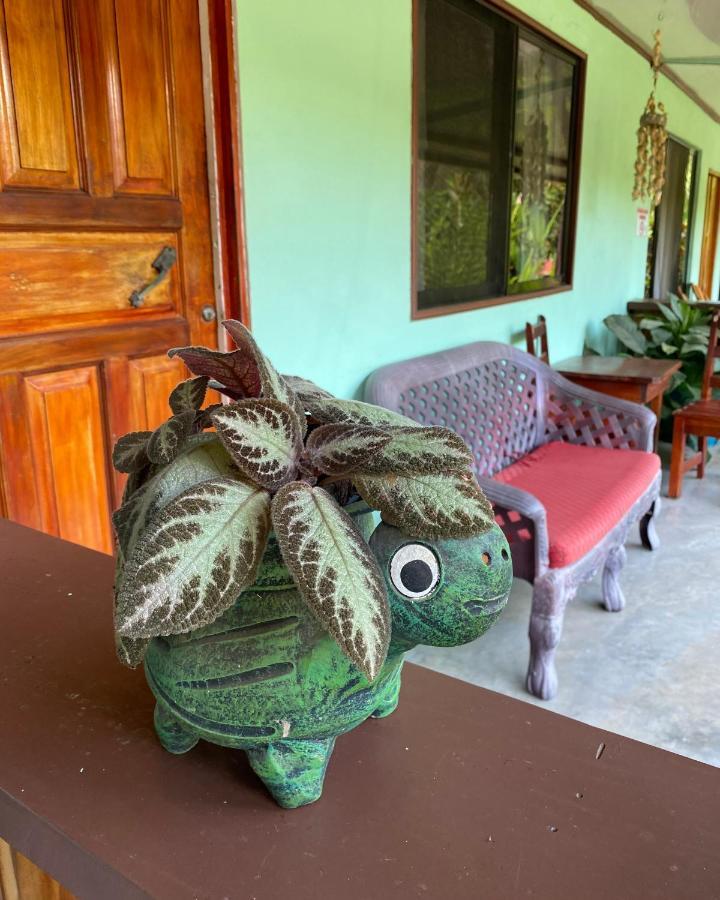 Mirians Place Drake