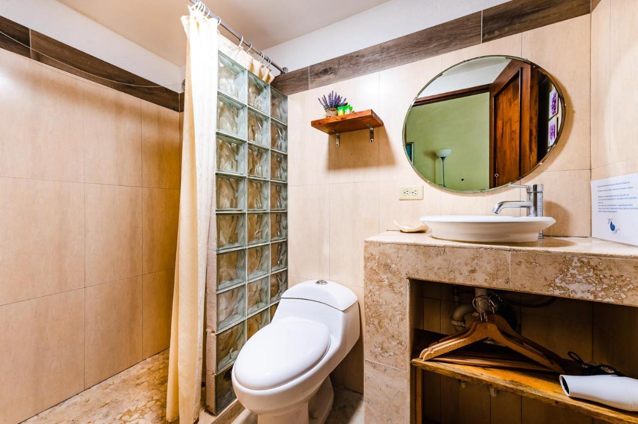 Nautilus Bed & Breakfast 3*