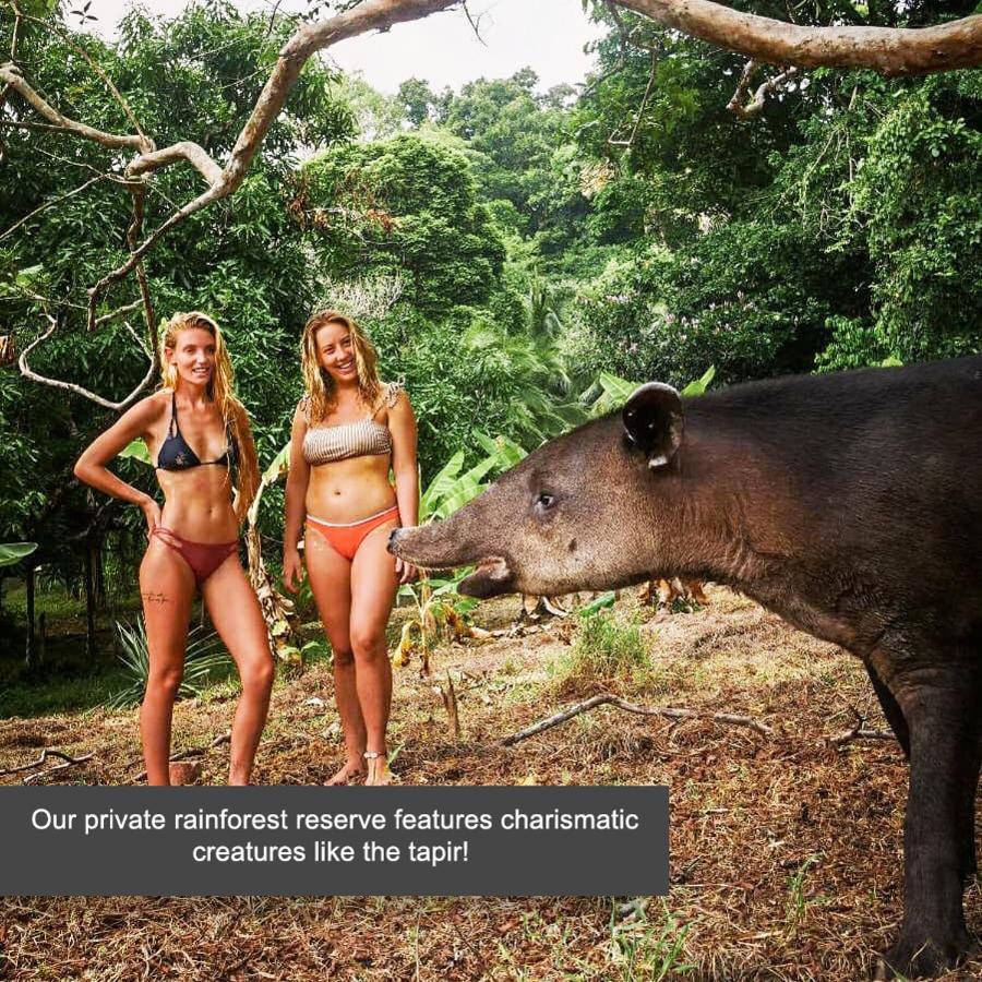 The Jaguars Jungle Rainforest - Meals Included (adults Only) Hotel *