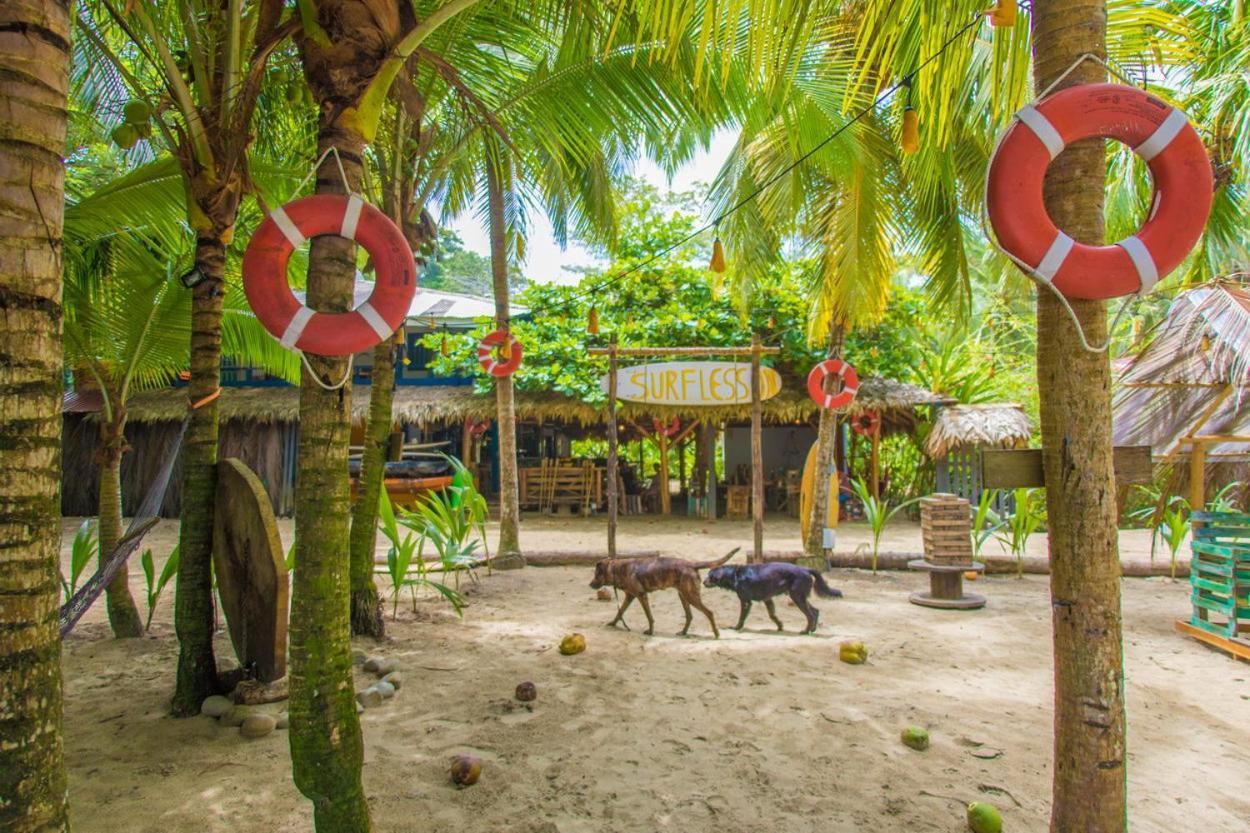 Playa 506 Beachfront Hostel Puerto Viejo de Talamanca