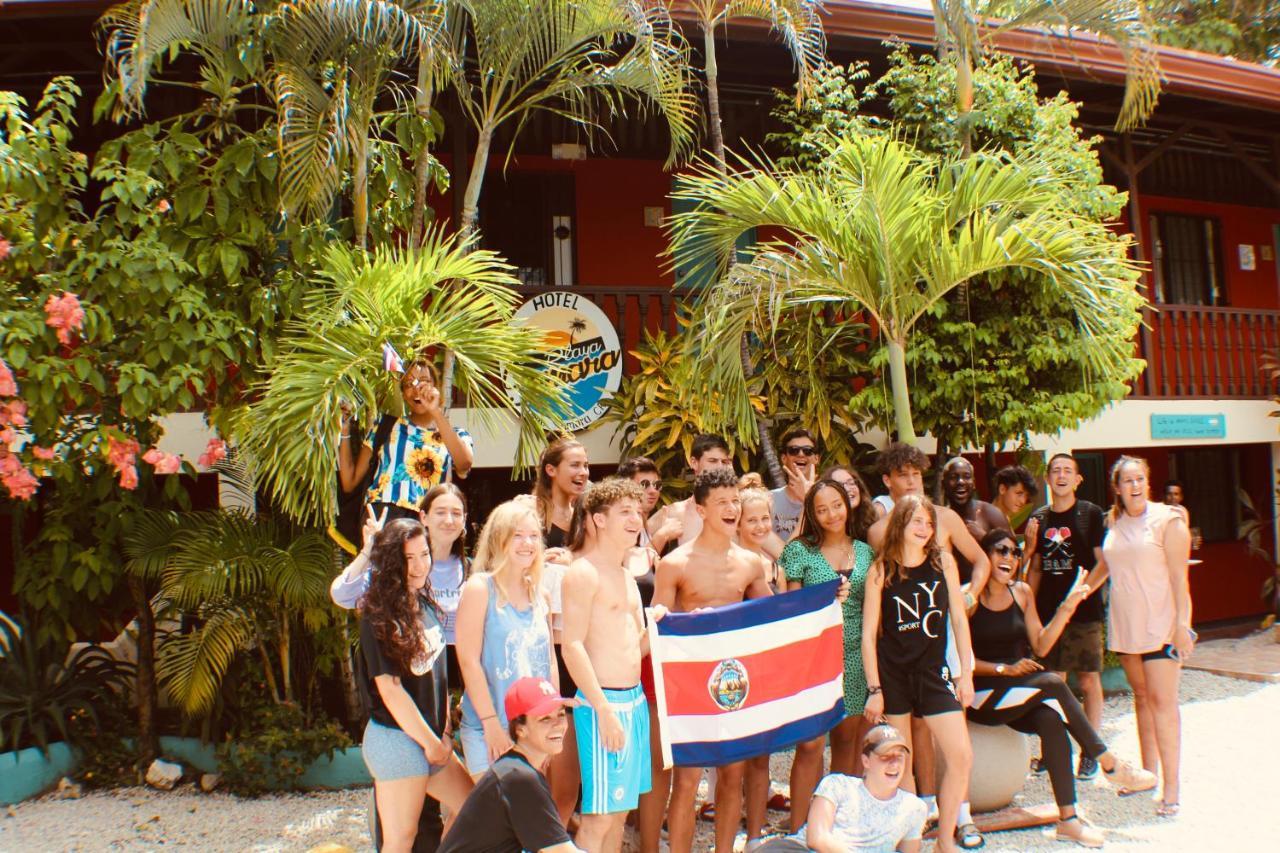 Blue Iguana 3*