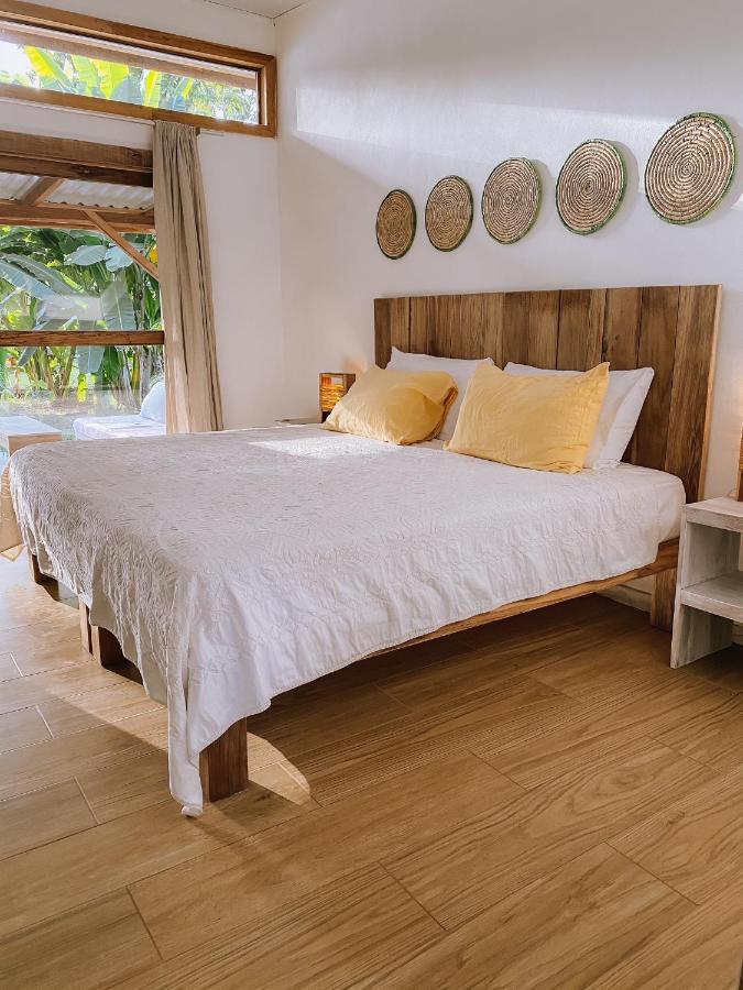 Sonora Jungle & Yoga Retreat