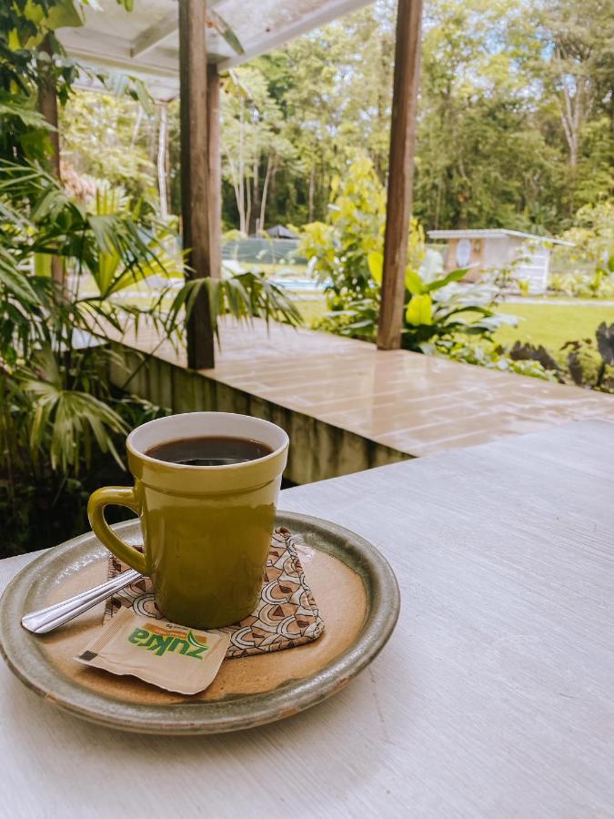 Sonora Jungle & Yoga Retreat