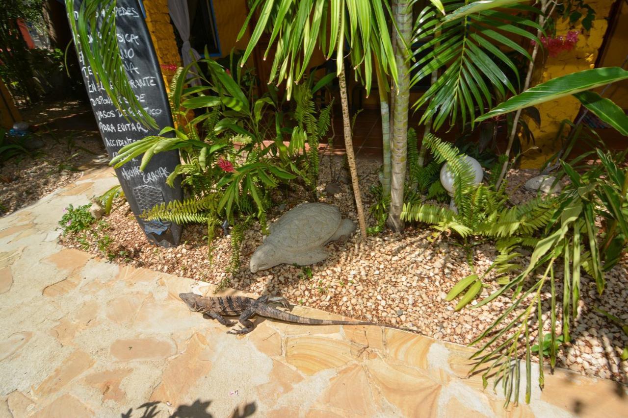 Hotel Conchal Brasilito