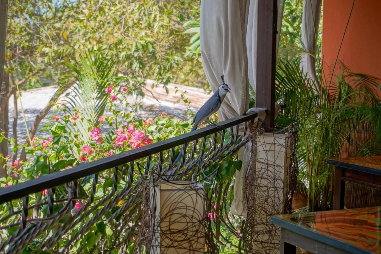 Hotel Conchal