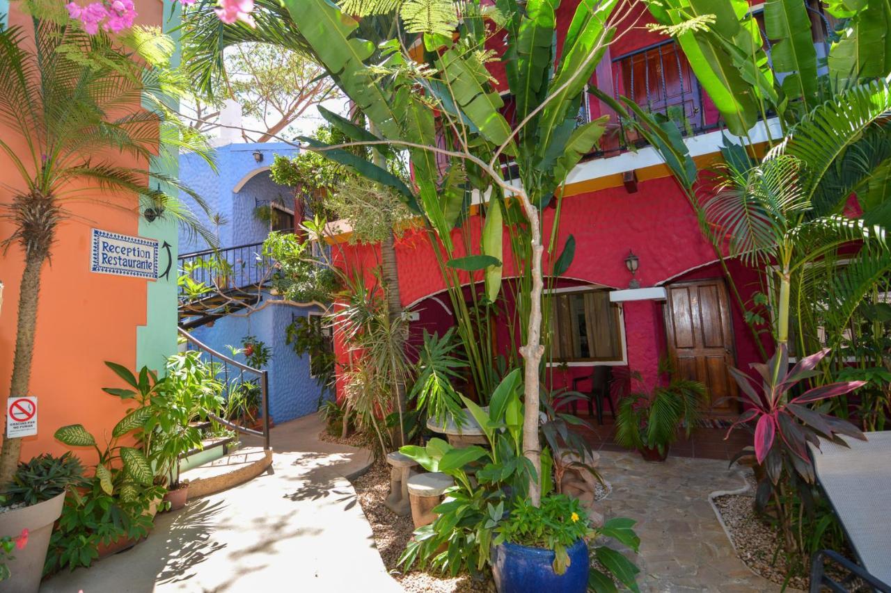 Conchal Hotel Brasilito
