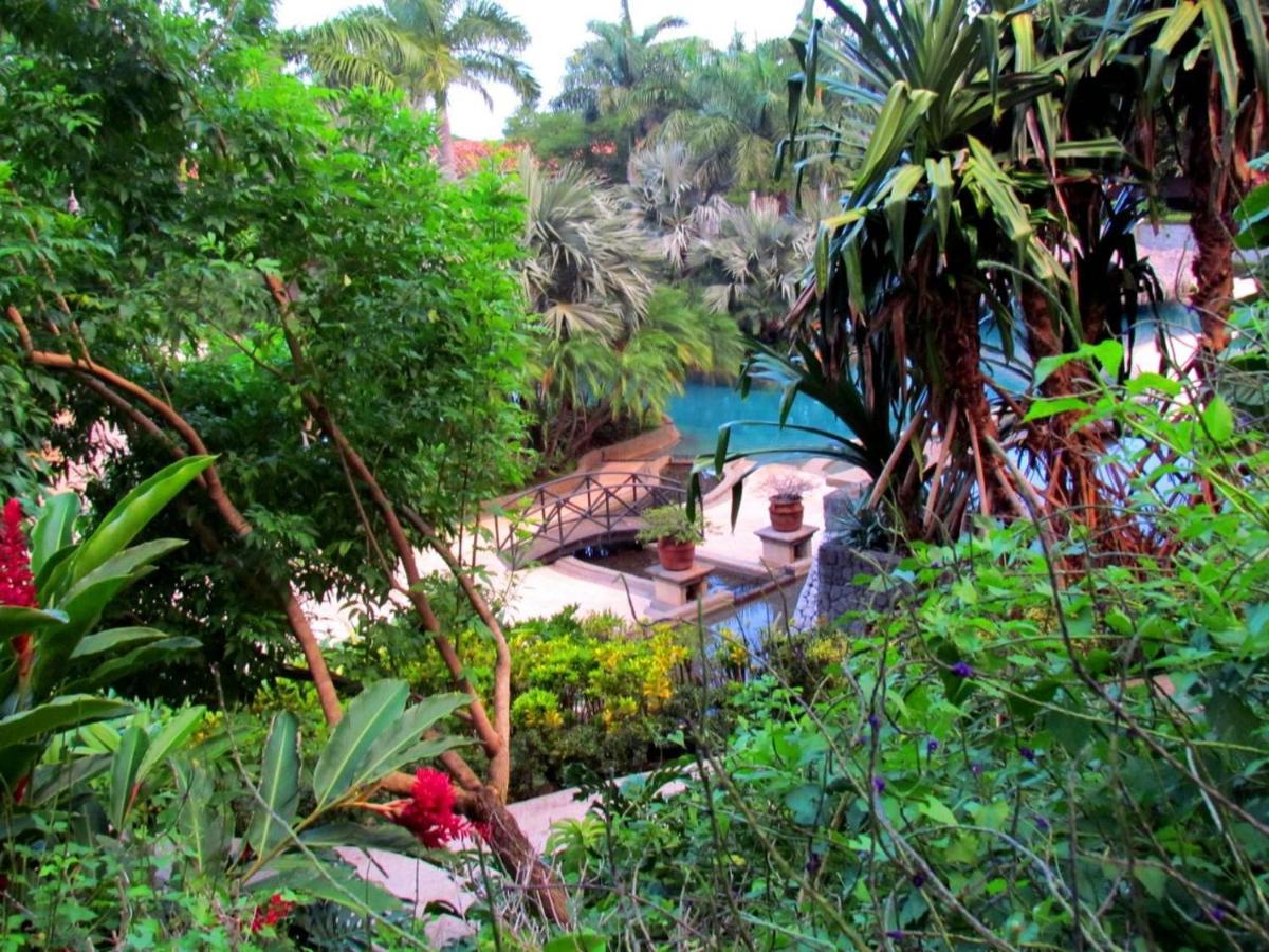 206 Matapalo Apartment *