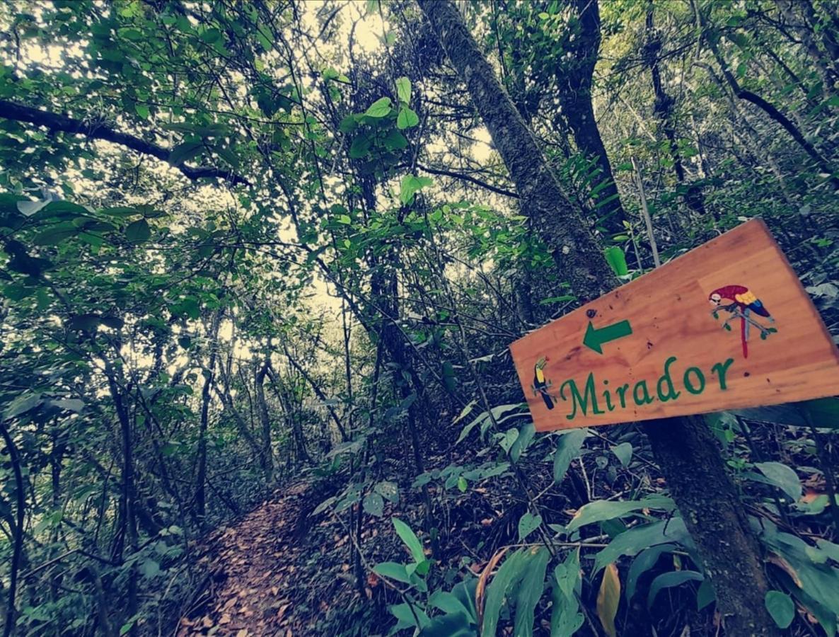 Cerro