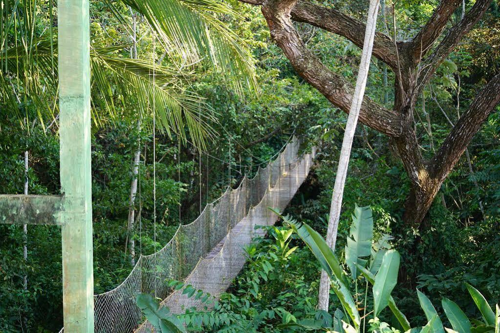 Kaya Bloom Ecolodge & Glamping Resort 4*