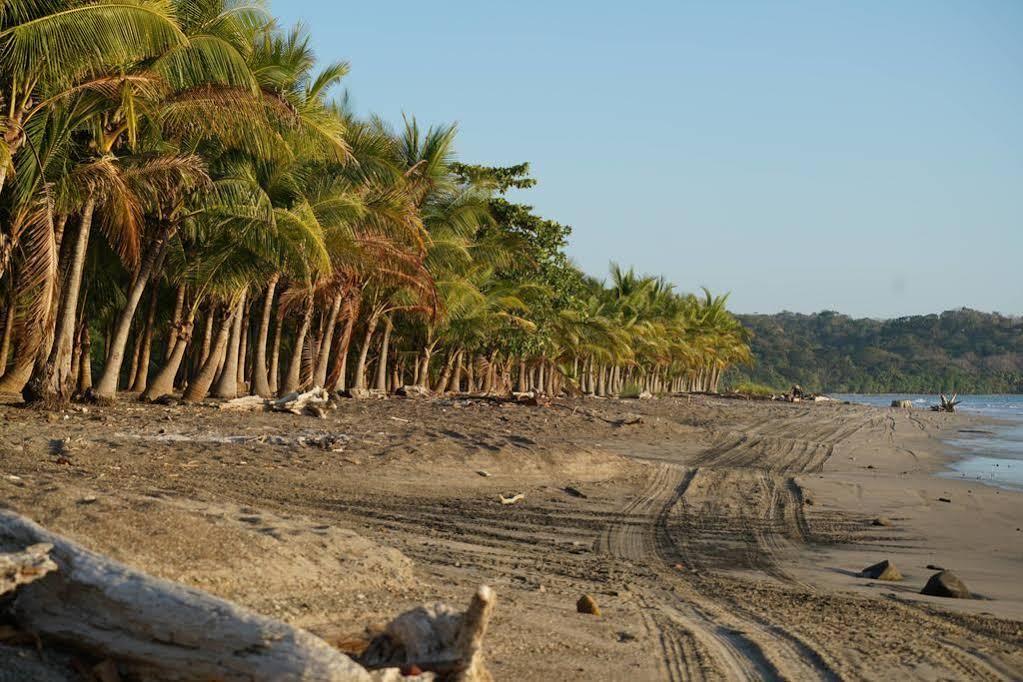 Resort Kaya Bloom Ecolodge & Glamping 4*